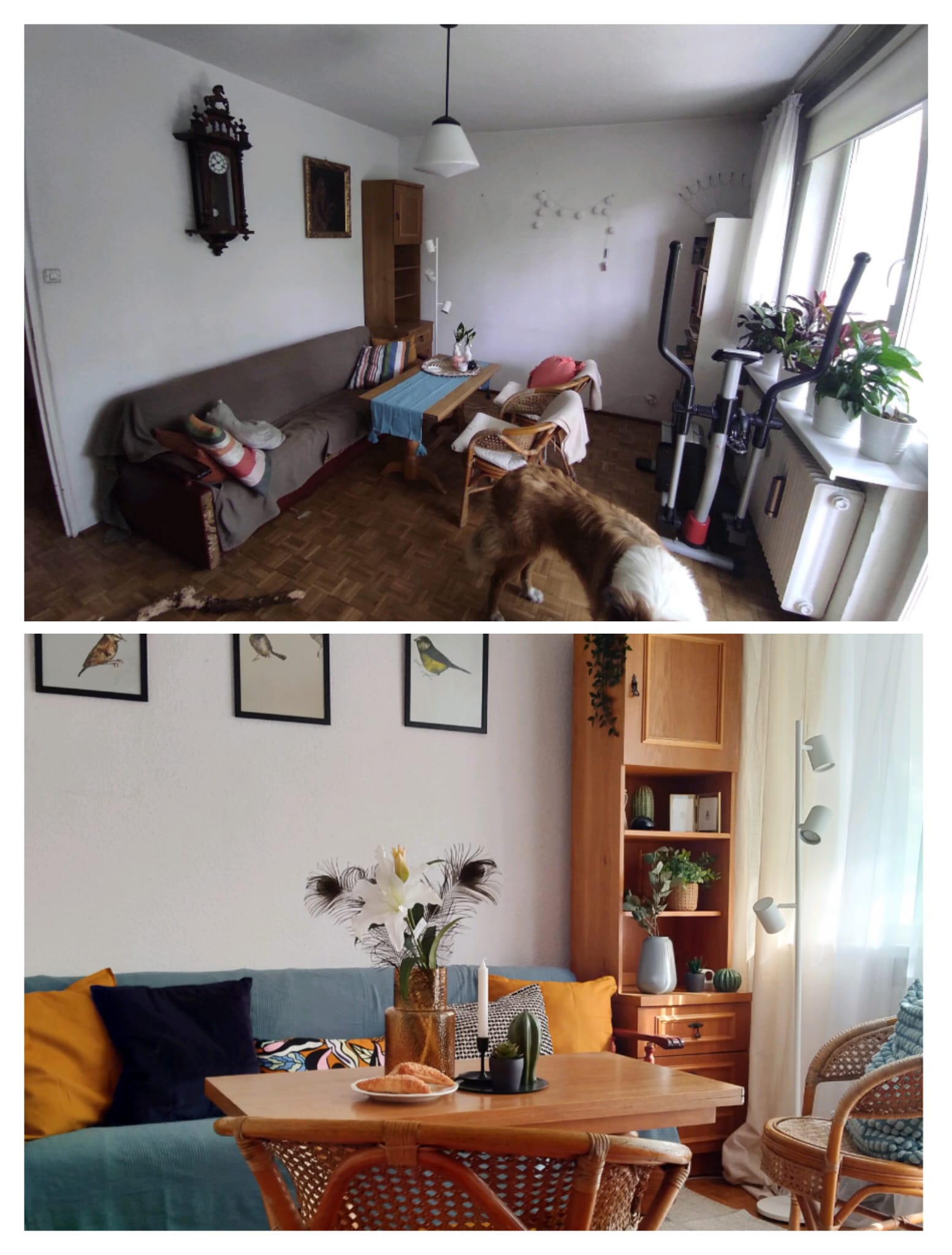 home staging poznan