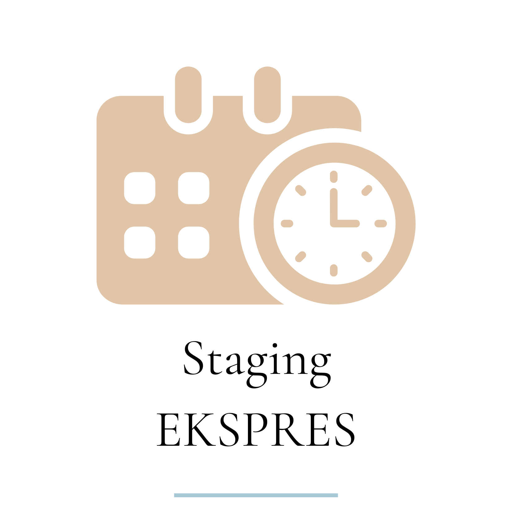 HOME STAGING (4)